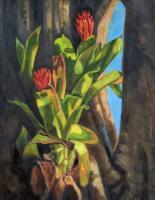 Botanicals - Bromeliad Attached - Oil On Canvas