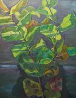 Botanicals - Lit Sea Grapes - Oil On Canvas