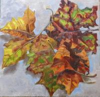 Sycamore Autumn Leaves - Oil On Canvas Paintings - By Claudia Thomas, Botanical Painting Artist