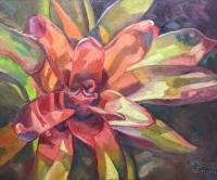 Botanicals - Blushing Bromeliad - Oil On Canvas