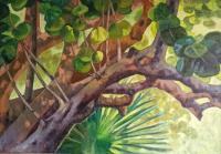 Seagrapes Tree - Oil On Canvas Paintings - By Claudia Thomas, Closed Landscape Painting Artist