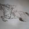 Horse Rider - Pencil Drawings - By Amol Shede, Free Hand Drawing Artist