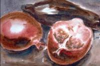 Pomegranates - Watercolor Paintings - By Heinz Sterzenbach, Realism Painting Artist