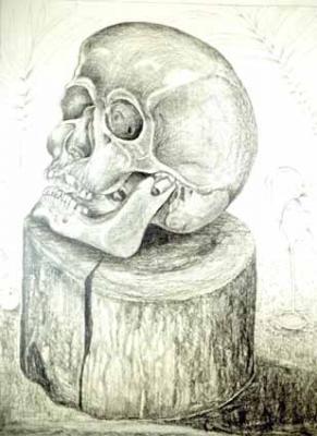 Real And Surreal World - Cranium Of A Death On A Wooden Block - Pencil