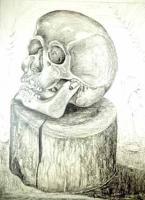 Cranium Of A Death On A Wooden Block - Pencil Drawings - By Heinz Sterzenbach, Realism Drawing Artist