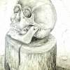 Cranium Of A Death On A Wooden Block - Pencil Drawings - By Heinz Sterzenbach, Realism Drawing Artist