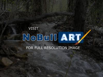 Water Wayz - Through The Woods - Digital