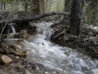 Through The Woods - Digital Photography - By Jessica Peay, Nature Photography Photography Artist