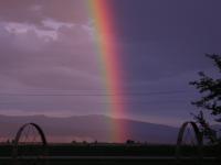 In The Sky - Digital Photography - By Jessica Peay, Nature Photography Photography Artist