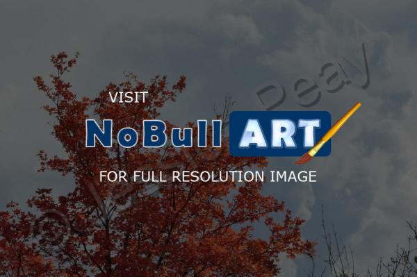 Sunrise Mountians - Fall Leaves - Digital