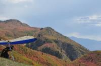 Lift Off - Digital Photography - By Jessica Peay, Nature Photography Photography Artist