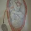Future - Pencils Hb2B And Colored Penci Drawings - By Ann Mary Bougatsos, Realistic Painting Drawing Artist