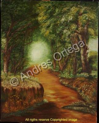 Oils - Landscape - Oil On Canvas