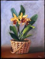 Orchids - Oil On Canvas Paintings - By Andres Ortega, Realistic Painting Artist