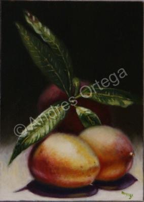 Oils - Mangoes - Oil On Board