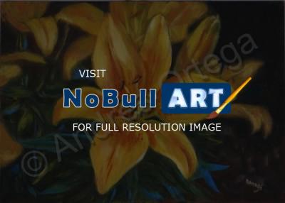 Oils - Yellow Lillies - Oil On Board