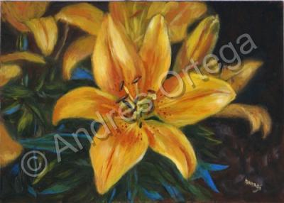 Oils - Yellow Lillies - Oil On Board