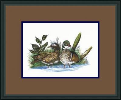 Pen  Ink - Wood Ducks Nesting - Pen  Ink W Water Colors
