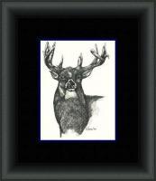 Buck Fever - Pen  Ink Drawings - By Daren Tanner, Pen  Ink Drawing Artist