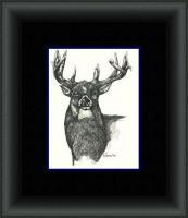 Buck Fever - Pen  Ink Drawings - By Daren Tanner, Pen  Ink Drawing Artist