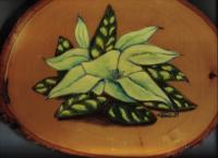 Magnolia - Wood Burning Other - By Daren Tanner, Wood Burning Other Artist