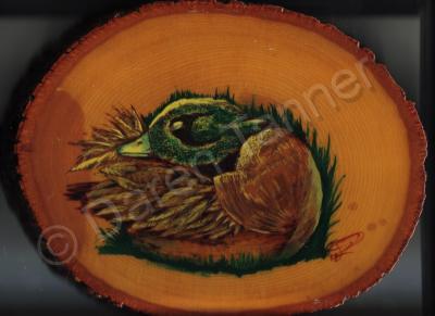 Wood Burning - Mallard - Wood Burning