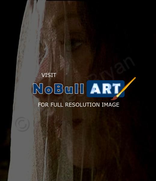 Acrylic On Canvas - The Veil - Acrylics