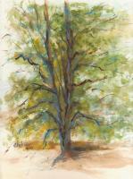 Plein Air Tree Study I - Watercolor Paintings - By Dana Chabino, Impressionism Painting Artist