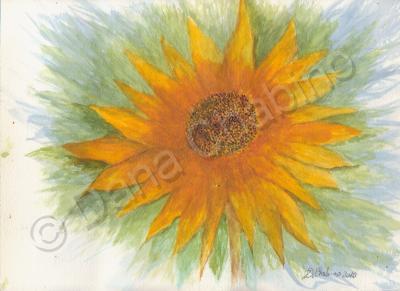 Water Color - Mandala Sunflower - Watercolor