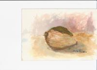 Clay Fruit Study I - Watercolor Paintings - By Dana Chabino, Impressionistic Painting Artist