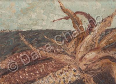 Private Collection - Impression - Indian Corn - Oil