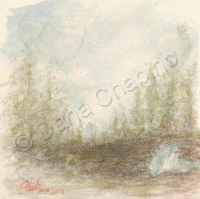 Water Color - Impression - Water Color Study - Landscape I - Water Color - Graphite