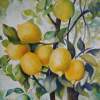 Lemons - Acrylic Paintings - By Elena Oleniuc, Decorative Painting Artist