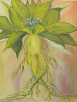 Irish Land And Seascape - Mandrake - Oil On Canvas
