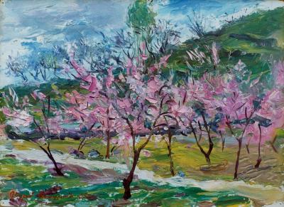 Landscape - Flowering Peaches - Oil On Cardboard