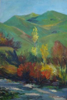 Landscape - In Eghegnadzor - Oil On Cardboard