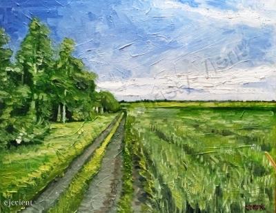 Nature - Green Field With Road - Oil