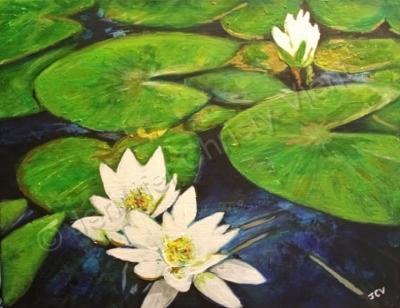 Nature - Lilly Pads - Acrylic