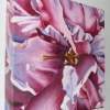 Tutti Fruity Flower - Oil On Canvas Paintings - By Suzanne Clapp, Realism Painting Artist