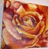 Zesty Orange Flower - Oil On Canvas Paintings - By Suzanne Clapp, Realism Painting Artist