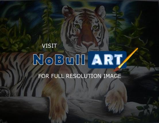 Animal Collection - A Beautiful Tiger - Oil On Canvas