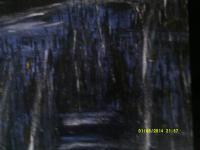 Night Fall III - Acrylic On Canvas Board Paintings - By Timothy Wilkie, Landscape Painting Artist