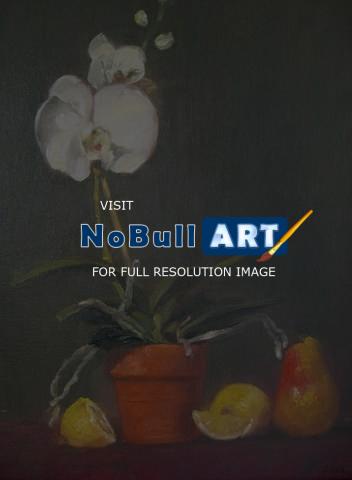 Still Life - Orchid And Fruit - Oil