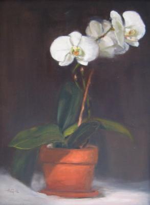 Still Life - Orchid - Oil