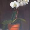 Orchid - Oil Paintings - By Ann Holstein, Realism Painting Artist