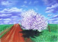 Spring Blooms - Pastel Paintings - By Iryna Ivanova, Realism Painting Artist