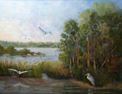 Landscape - Egrets At Spruce Creek - Oil