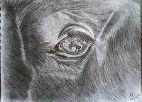 My Art - Story In The Horses Eye - Charcoal