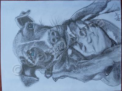 My Art - Blue Eyes - Graphite Pencil On Paper