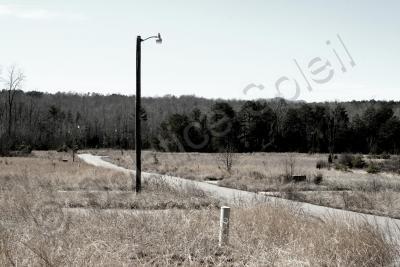 Exploring - Lonely Roads - Canon Rebel Xti